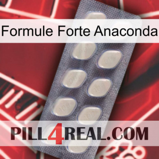 Anaconda Strong Formula 08